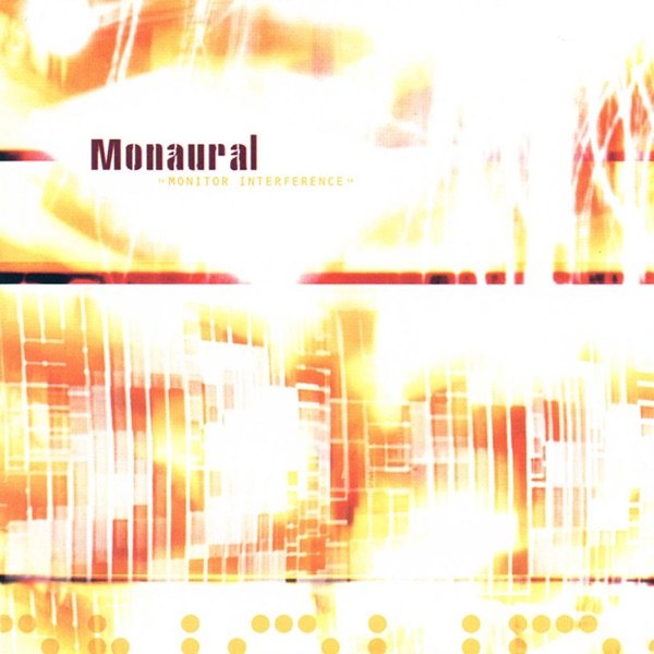 Monitor Interference cover