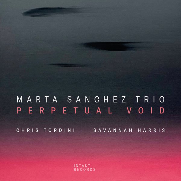 Perpetual Void cover