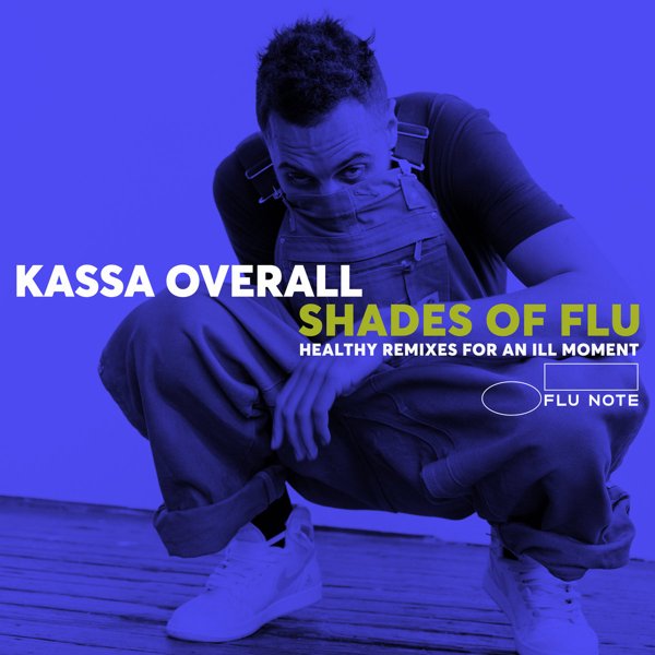 SHADES OF FLU cover