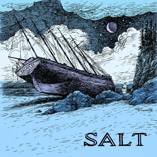 Salt cover