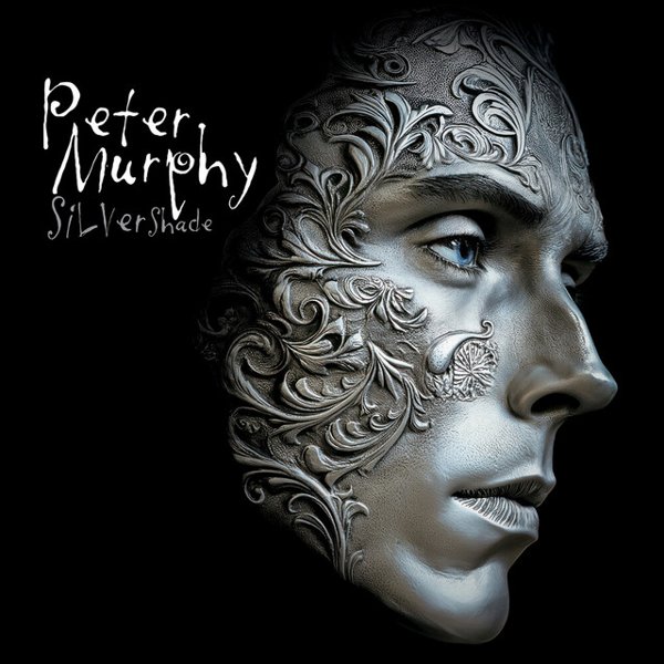 Silver Shade cover