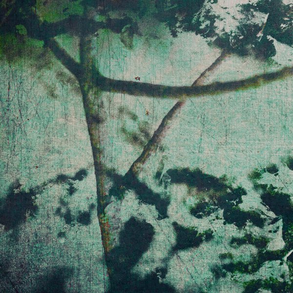 Suspension of Belief cover