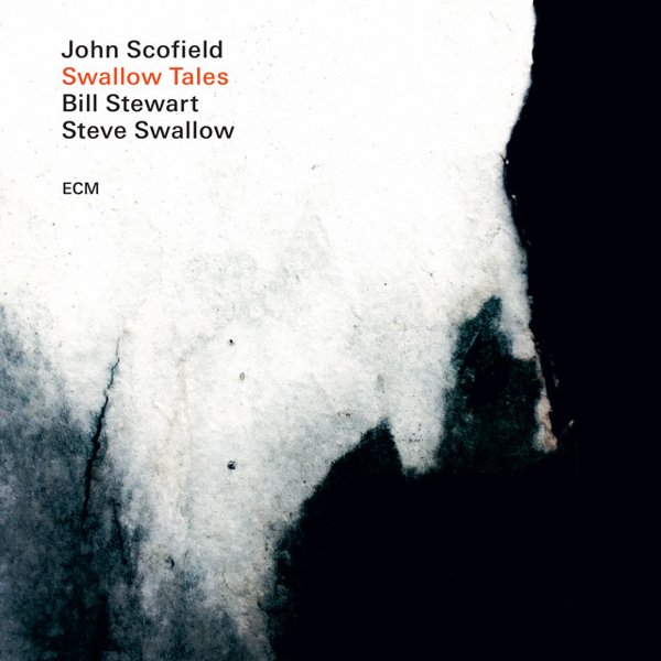 Swallow Tales cover