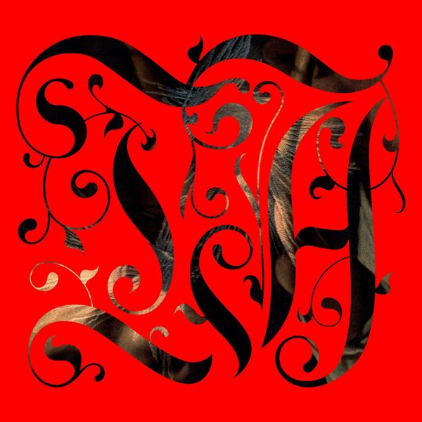 The Adept cover