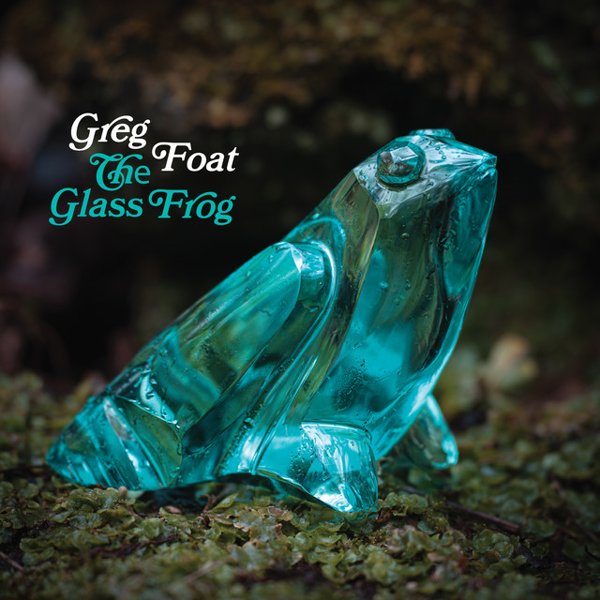 The Glass Frog cover