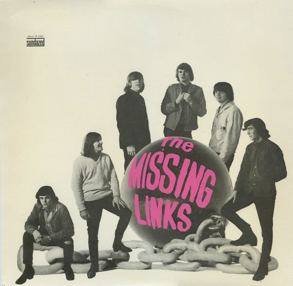 The Missing Links cover