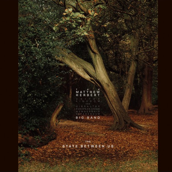 The State Between Us cover