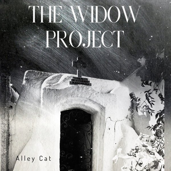 The Widow Project cover