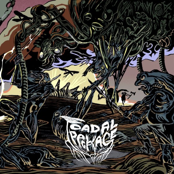 Toadal Package cover