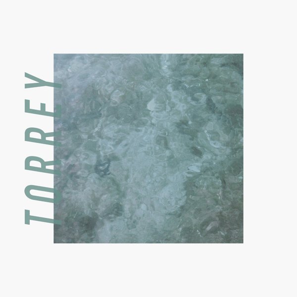 Torrey cover