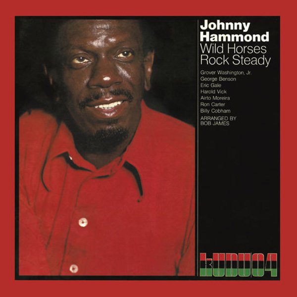 Wild Horses Rock Steady cover